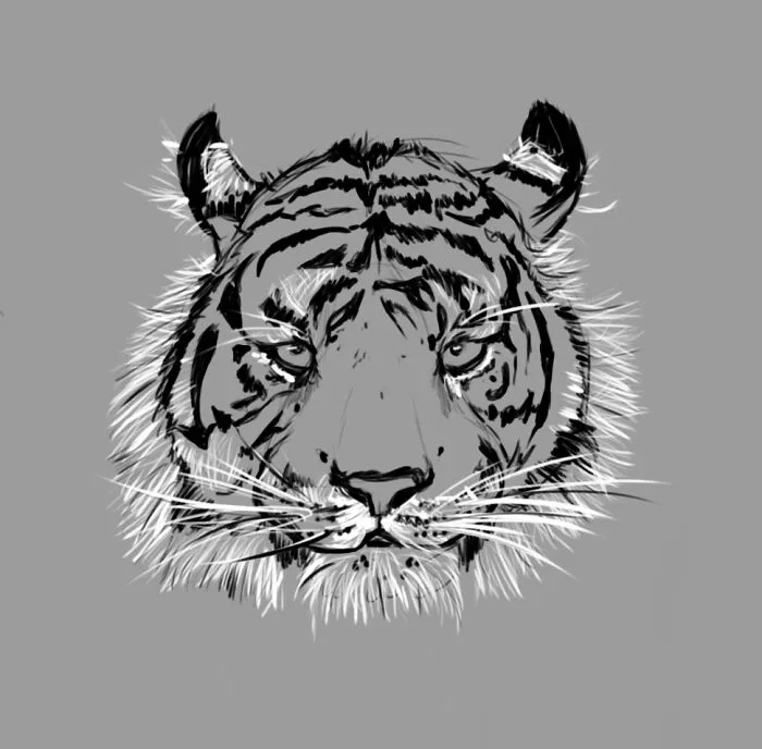Had Fun Drawing This :)