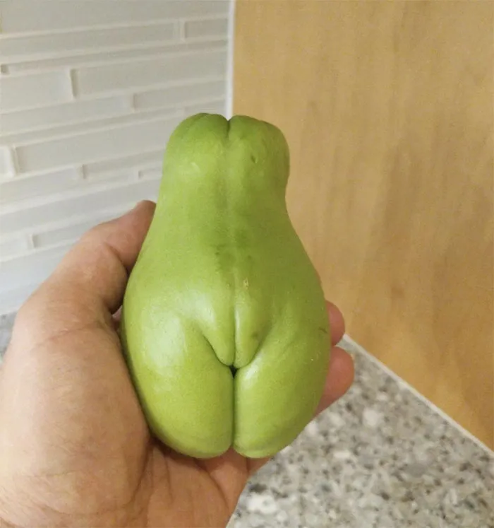 Totally Curvy