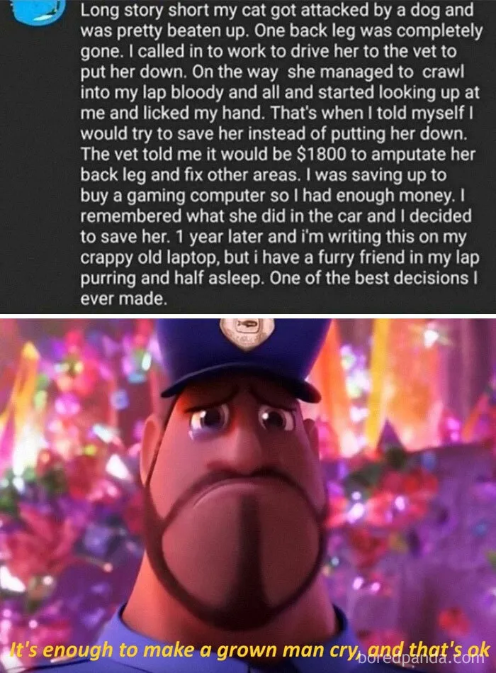 Wholesome 100
