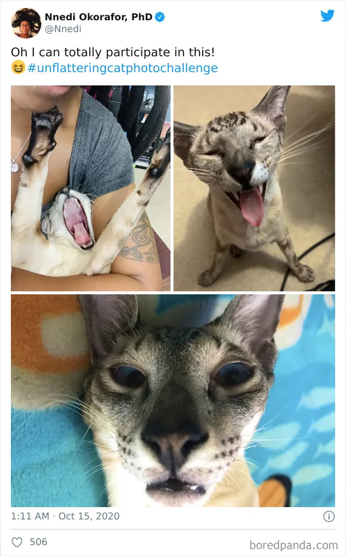 30 Of The Funniest Cat Pics That Owners Uploaded For The Unflattering Cat Photo Challenge (New Pics)