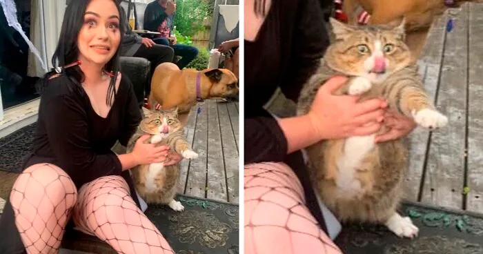 30 Of The Funniest Cat Pics That Owners Uploaded For The Unflattering Cat Photo Challenge (New Pics)