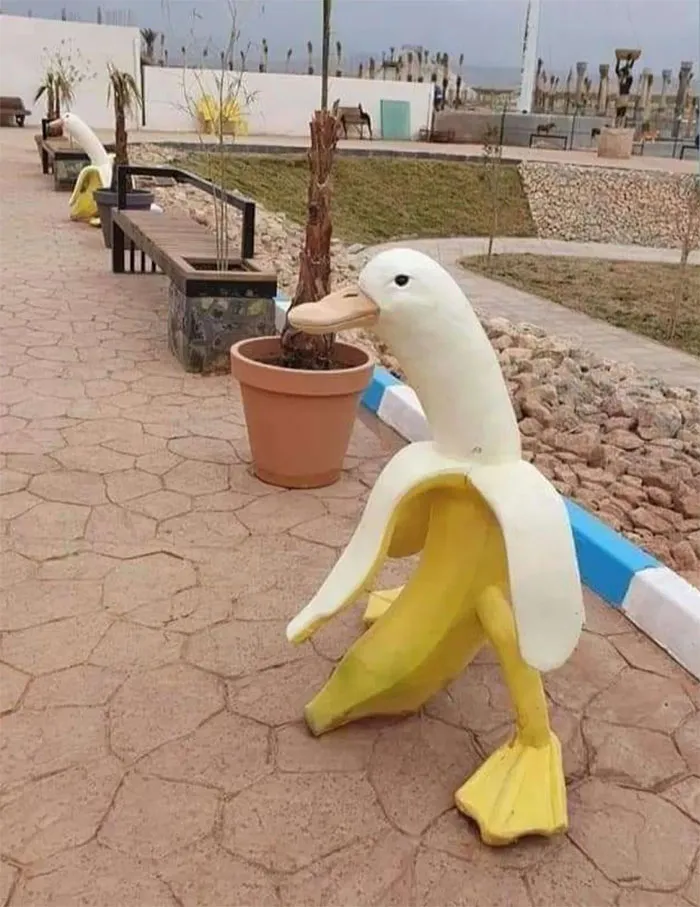 In Algeria We Have These Weird Things In Public Parks And Children’s Playgrounds