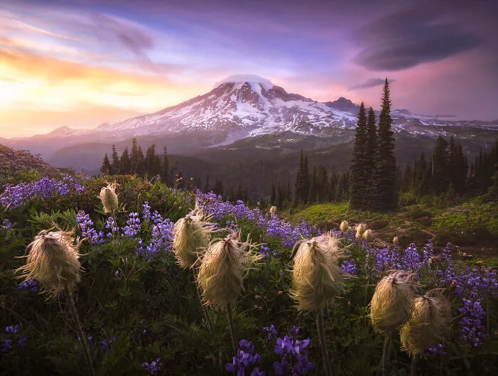 30 Winners Of The 2020 International Landscape Photographer Of The Year Competition Have Been Announced And They’re Mesmerizing