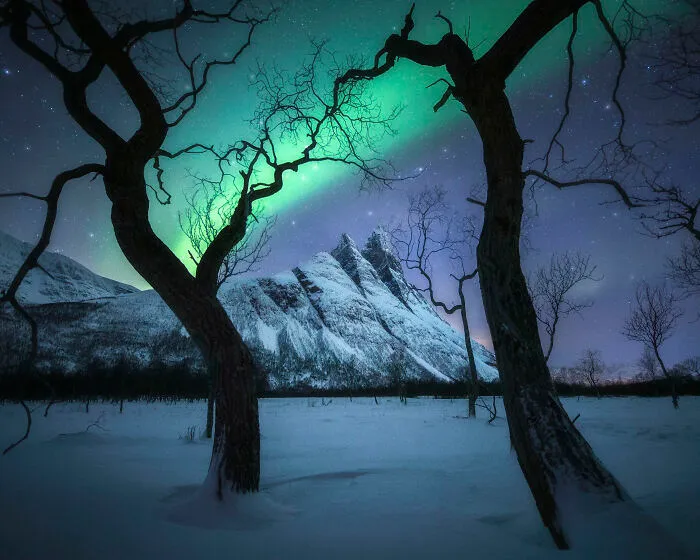 By photographer of the year - Kelvin Yuen