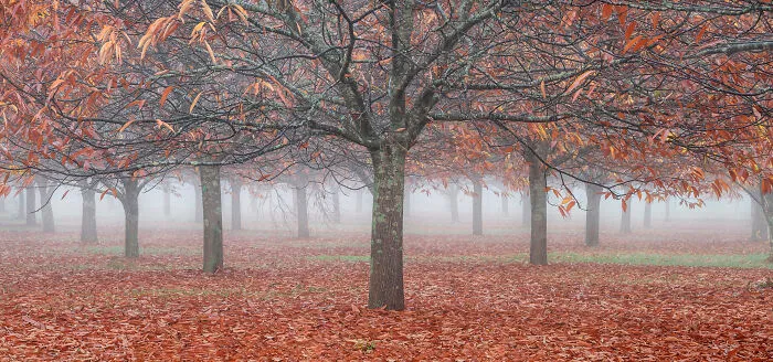 30 Winners Of The 2020 International Landscape Photographer Of The Year Competition Have Been Announced And They’re Mesmerizing