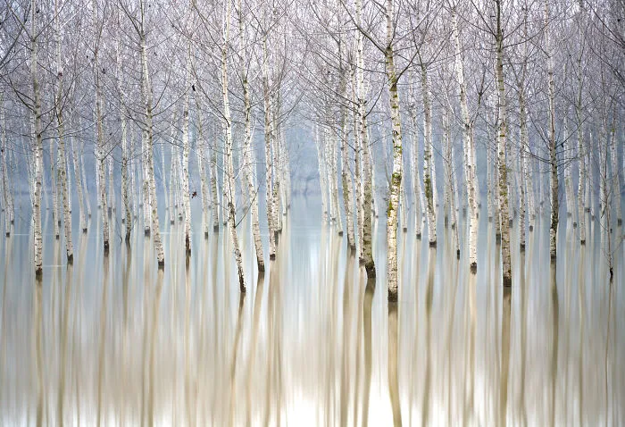 30 Winners Of The 2020 International Landscape Photographer Of The Year Competition Have Been Announced And They’re Mesmerizing