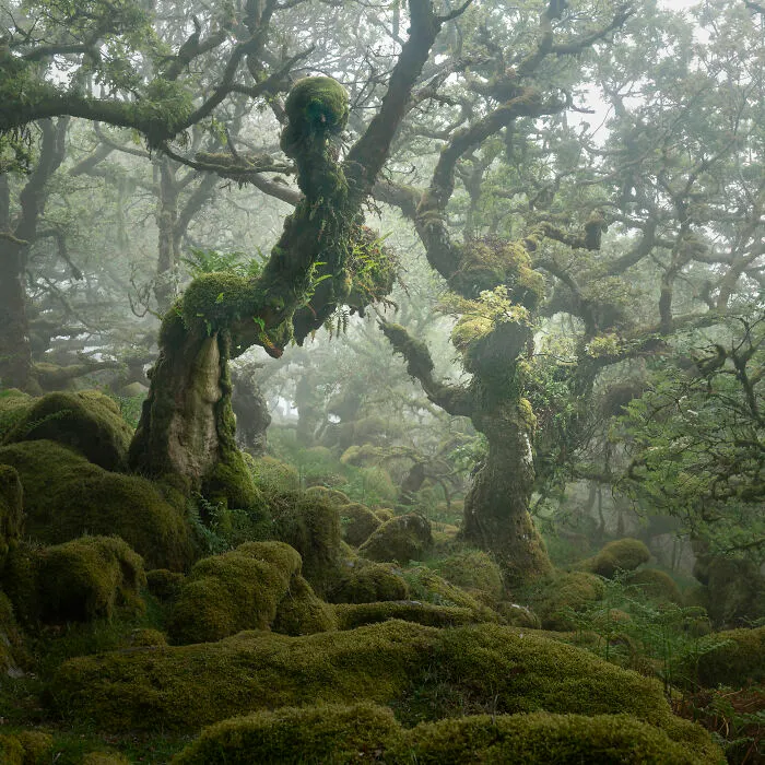 30 Winners Of The 2020 International Landscape Photographer Of The Year Competition Have Been Announced And They’re Mesmerizing