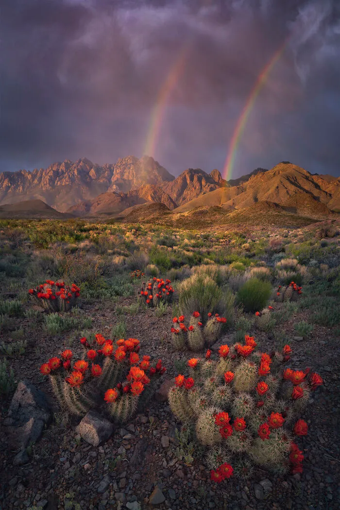 30 Winners Of The 2020 International Landscape Photographer Of The Year Competition Have Been Announced And They’re Mesmerizing