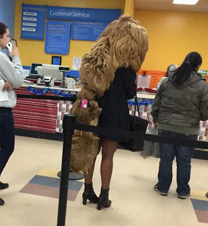 I’m Struggling To Find The Words To Describe How Awful This Looks