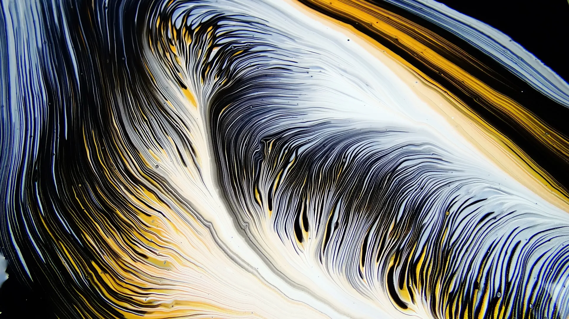 Negative Space Split Cup Pour ~ Black & White And Gold & Silver ~ #staycreative