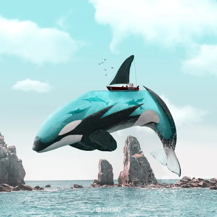 Orca acuática