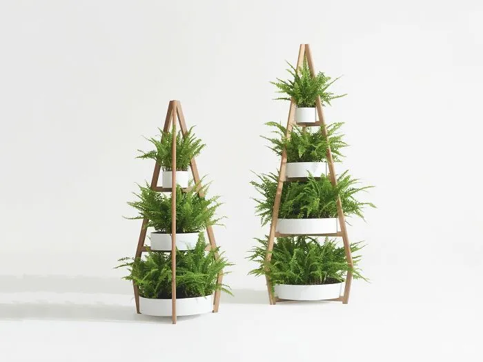 Green Shelf