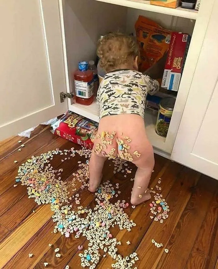 Cereal