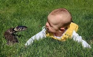 “A Year Ago, I Started Sending My GF These Photos Whenever She Asked If The Baby Was OK”