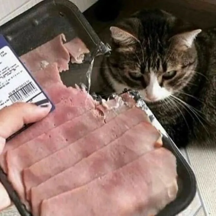 Bastard