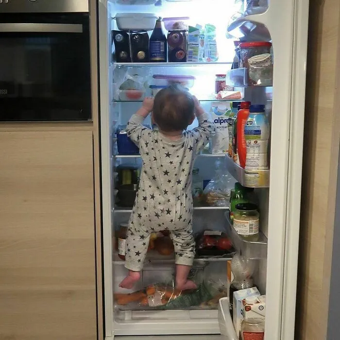 Where Is My Breakfast?!