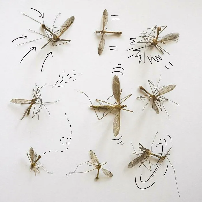 I Created Art Using Various Real-Life Objects Around Me (30 Pics)