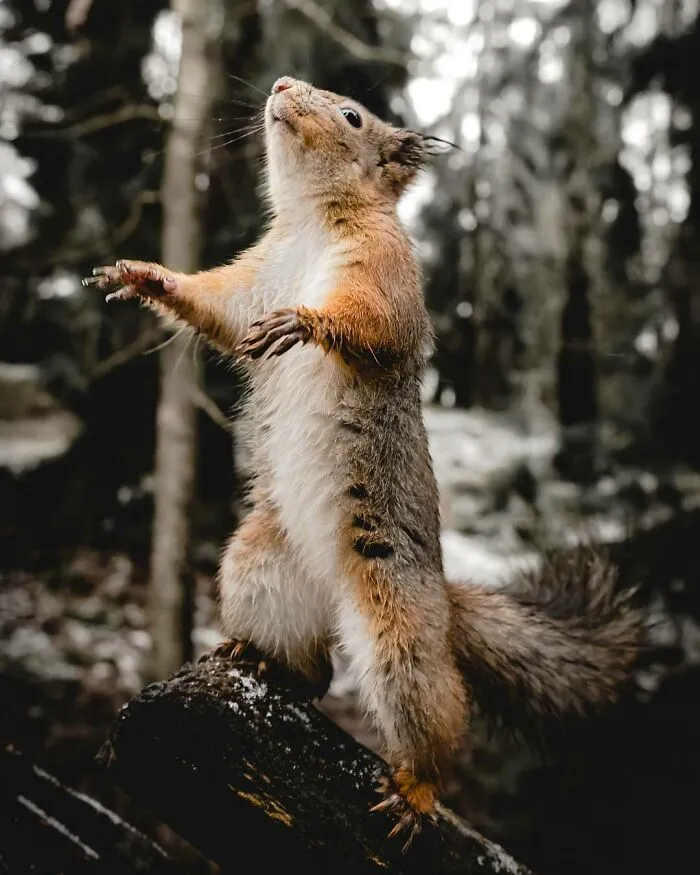 "Cause This Is Thriller, Thriller Night"