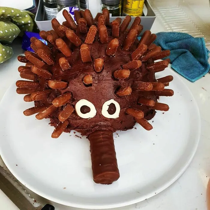 30 Times People Tried Their Hand At Making Hedgehog Cakes But Failed Miserably