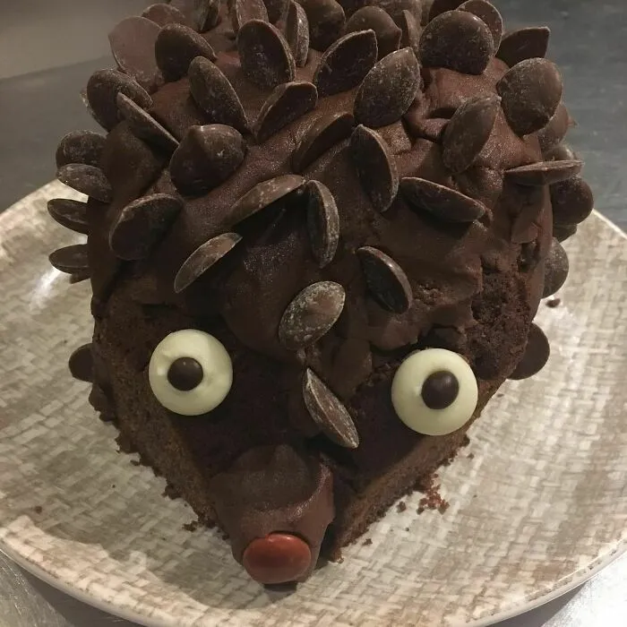 30 Times People Tried Their Hand At Making Hedgehog Cakes But Failed Miserably