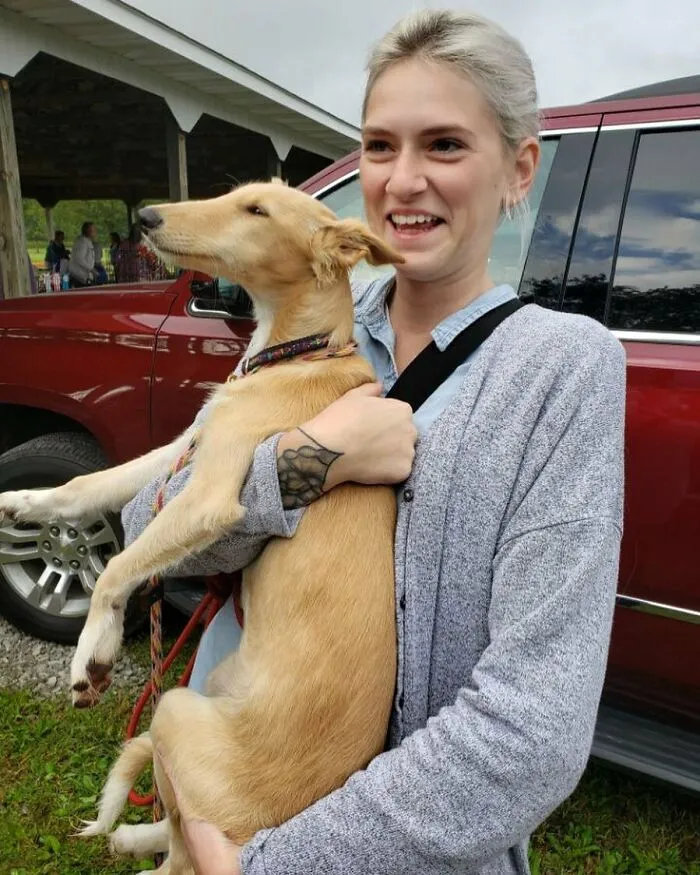 Dog With Insanely Long Legs And Neck Resembles A Giraffe (40 Pics)