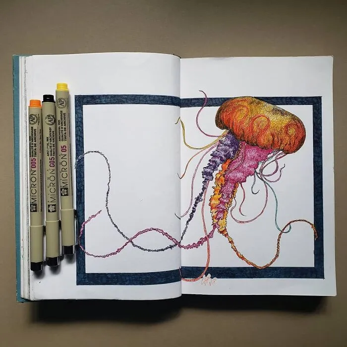 Jellyfish