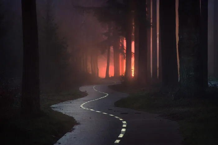 I Photographed Foggy Forest Roads And Paths In The Netherlands During Each Season (30 Pics)