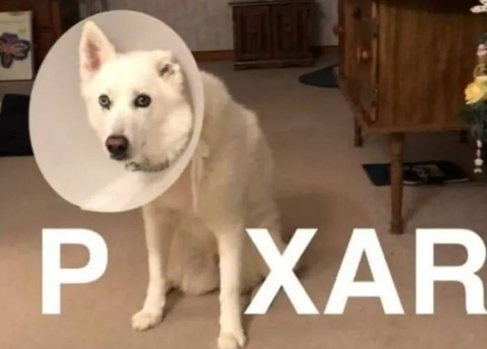 Pixar!