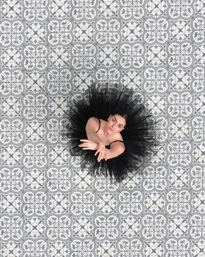 Black Délicate Swan