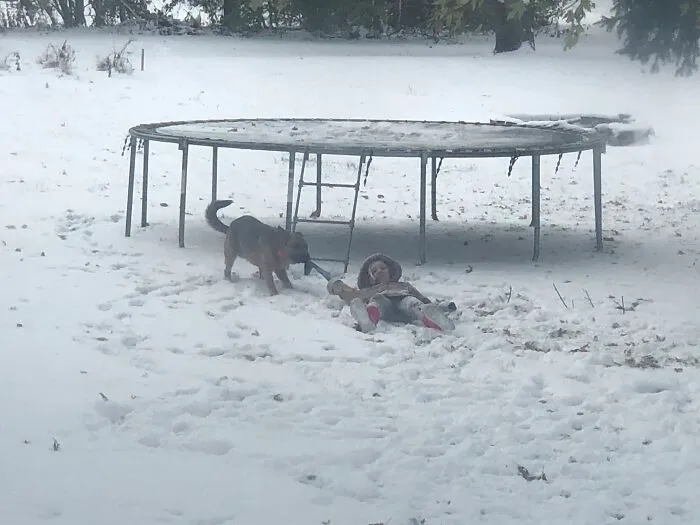 Good Old Nico Pulling Me Through The Snow