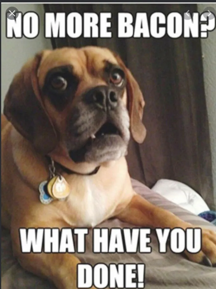 Bacon Doggy