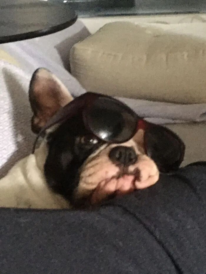 Saturday Hangover