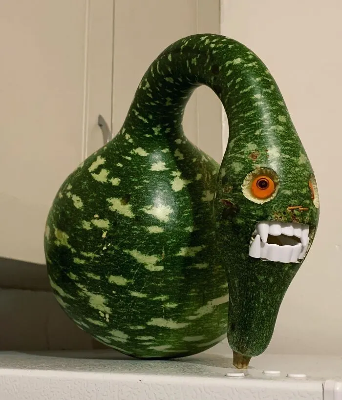 My Gourd-Geous Guy