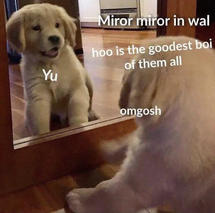 Omgosh