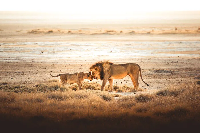 Family Moment