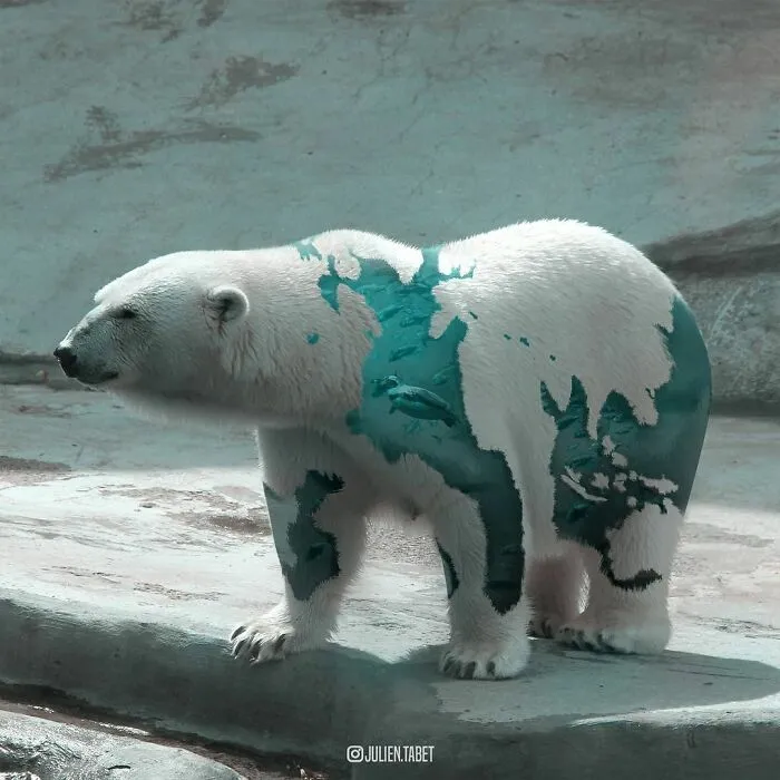 Oso acuático