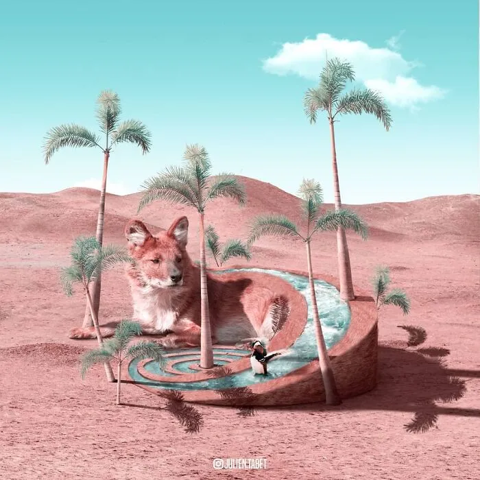 Oasis