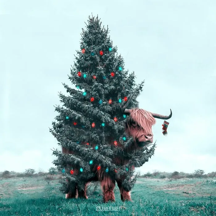 Christmas Yak