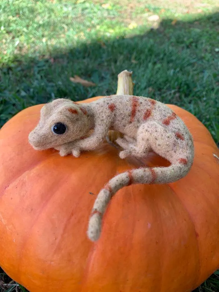 Gecko