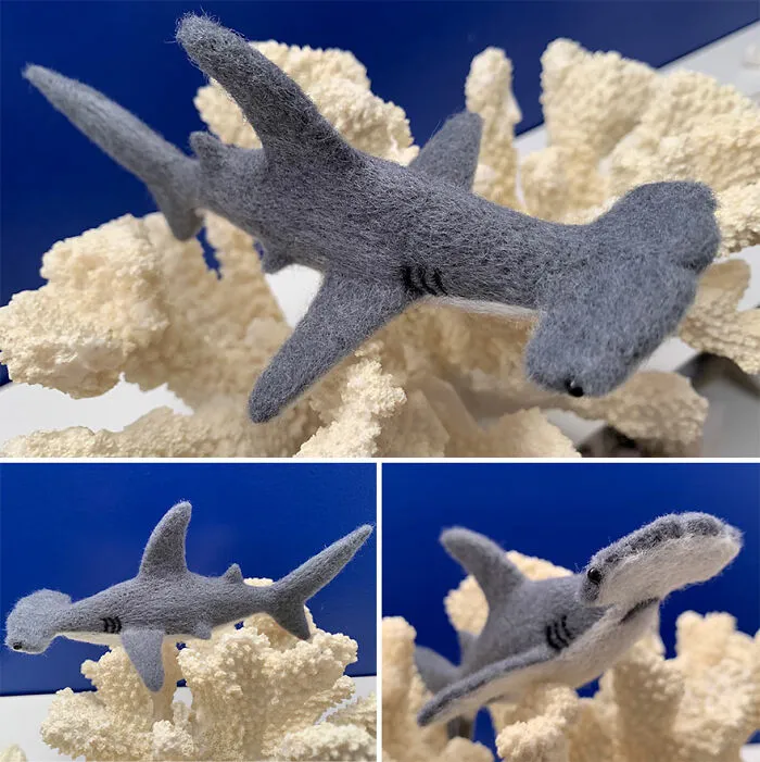 Hammerhead Shark