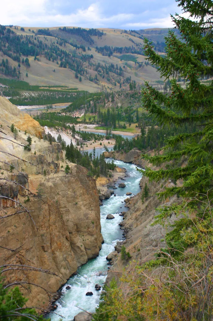 Yellowstone
