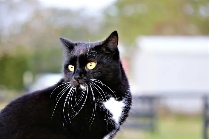 Stormy, Poised And Curious