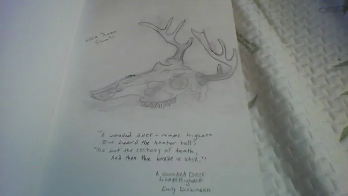 Rustic Deer Skull