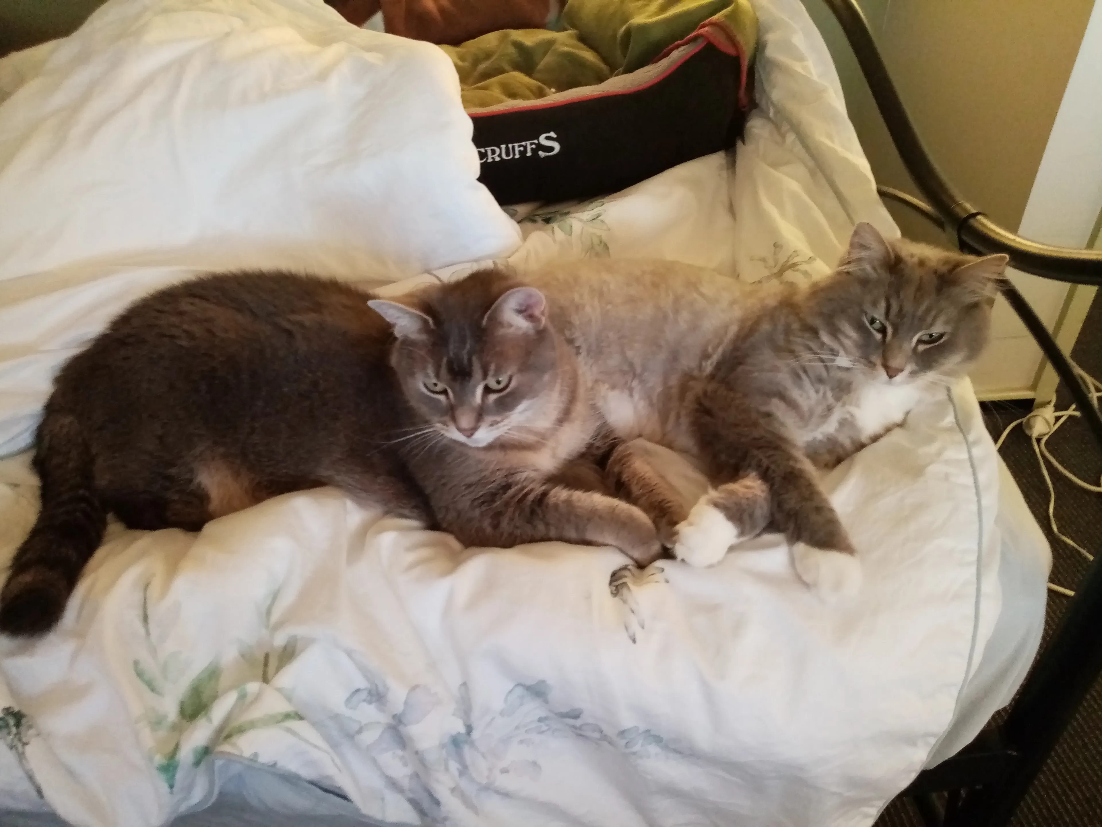 Best Friends