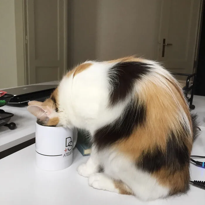 You Must Always Keep An Eye On Your Cup