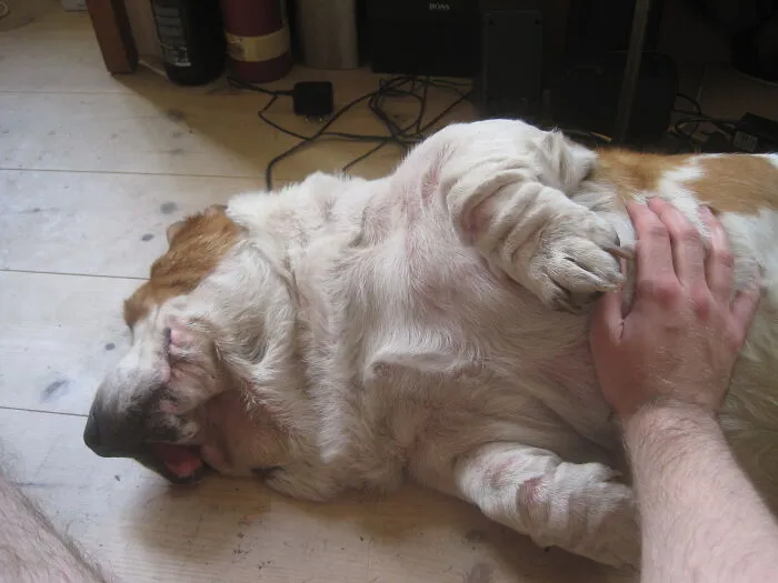 So Graceful