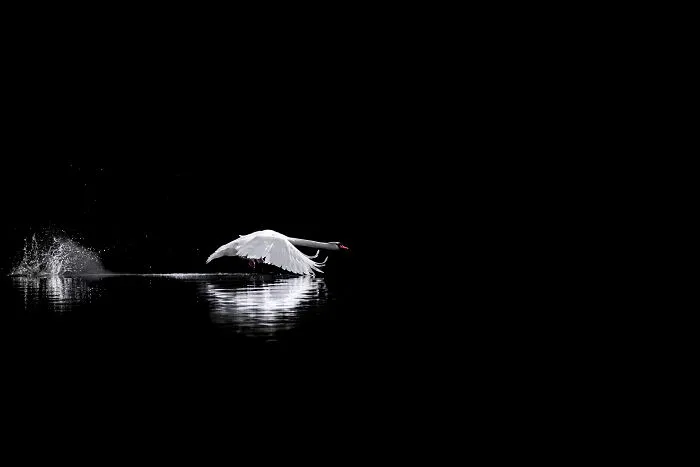Into The Darkness