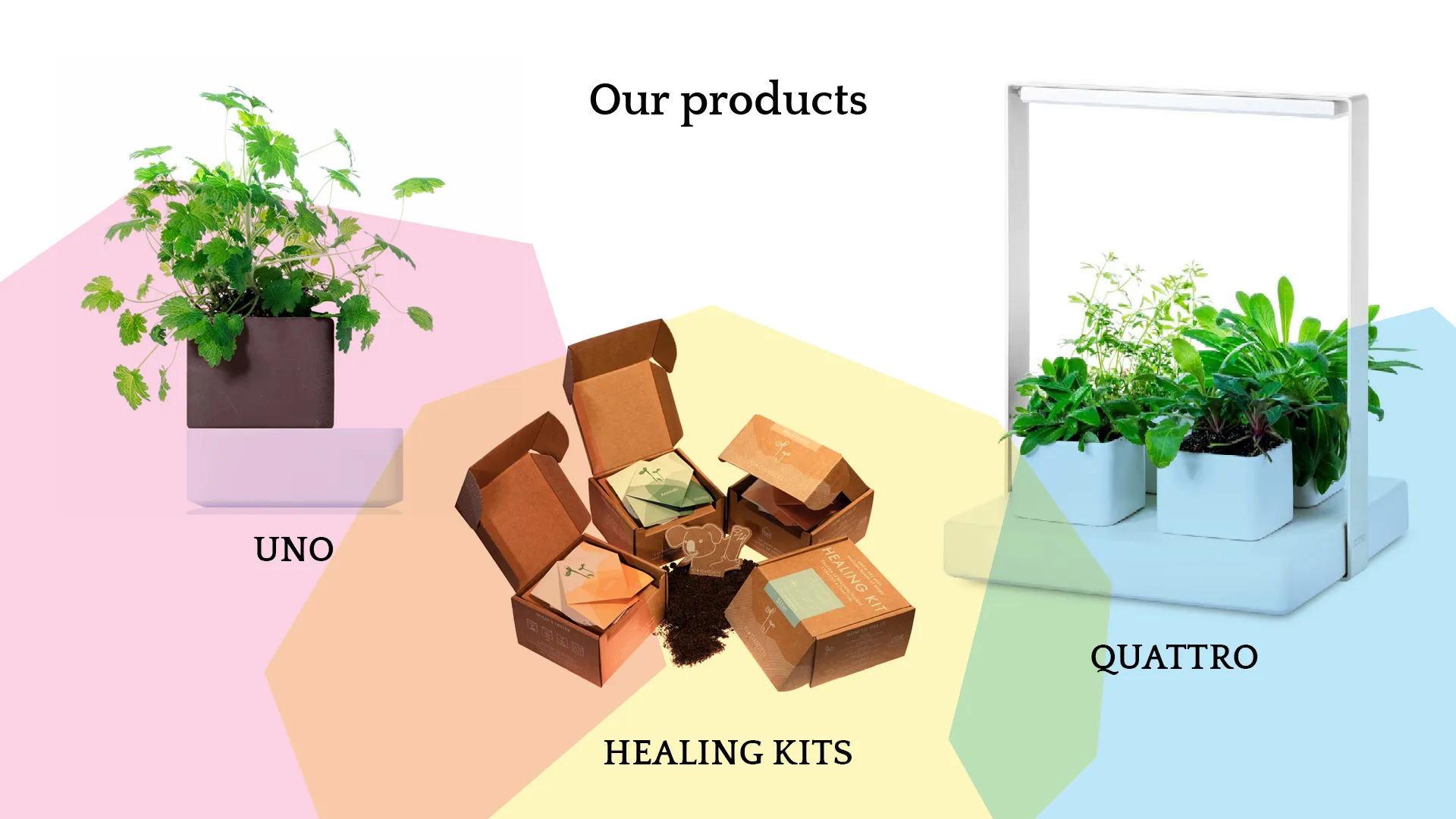 Join The Green Revolution With Kigarden