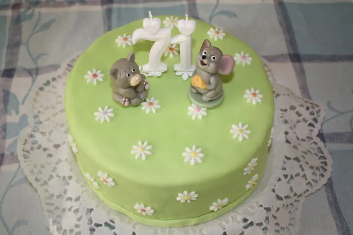 2019, Beginning Of The Adventures Of The Marzipan Cat