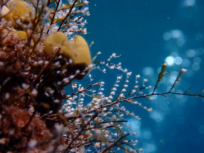 A Little Serenity Below The Surface